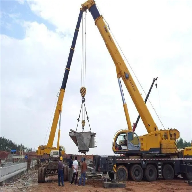 桂阳小型吊机出租电话|厂房设备吊装方案|24小时服务覆盖